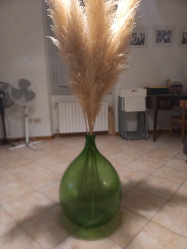 Damigiana vetro litri - vetro, 54