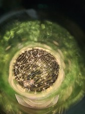 DAMIGIANA DI VETRO 54 LITRI